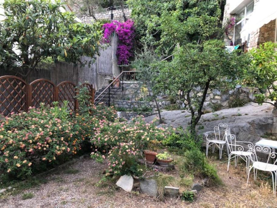 Apartment Incantevole A 30mt Dal Mare *